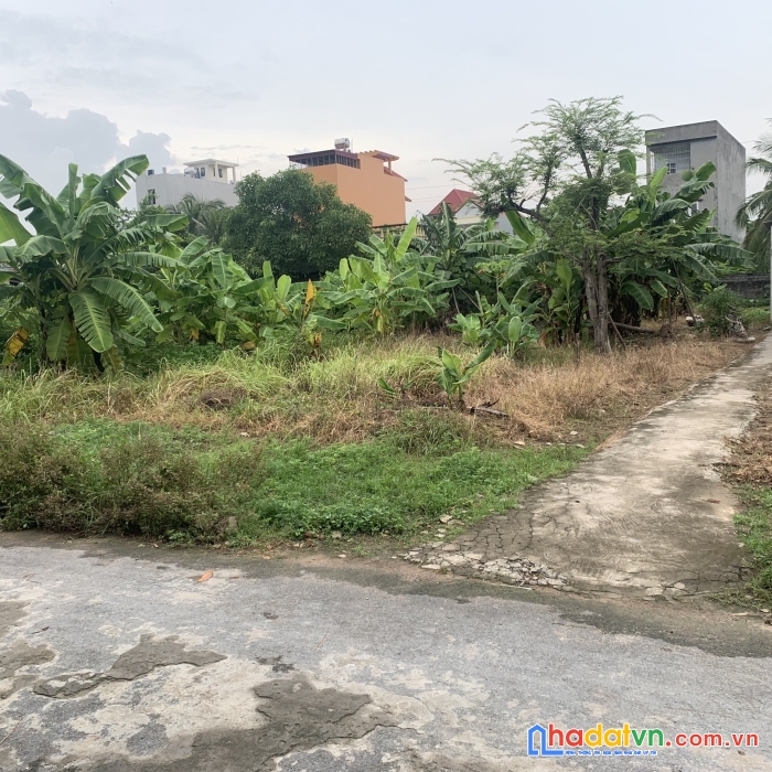 Mặt đường  hải thành 2 - dương kinh hải phòng 1,x tỷ