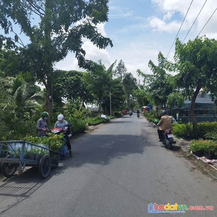 Bán gấp 465m2 nhà đất cấp 4 mặt tiền đường làng hoa sa đéc.