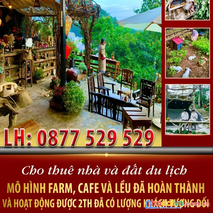 Cho thuê nhà và đất du lịch đường hùng vương , phường 11, đà lạt