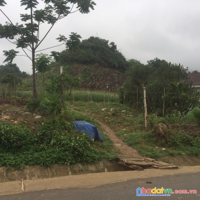 Bán mảnh đất phiêng luông,mộc châu,sơn la 1054 m2