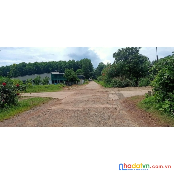 Bán lô đát biệt thự diên xuân diên khánh khánh hòa