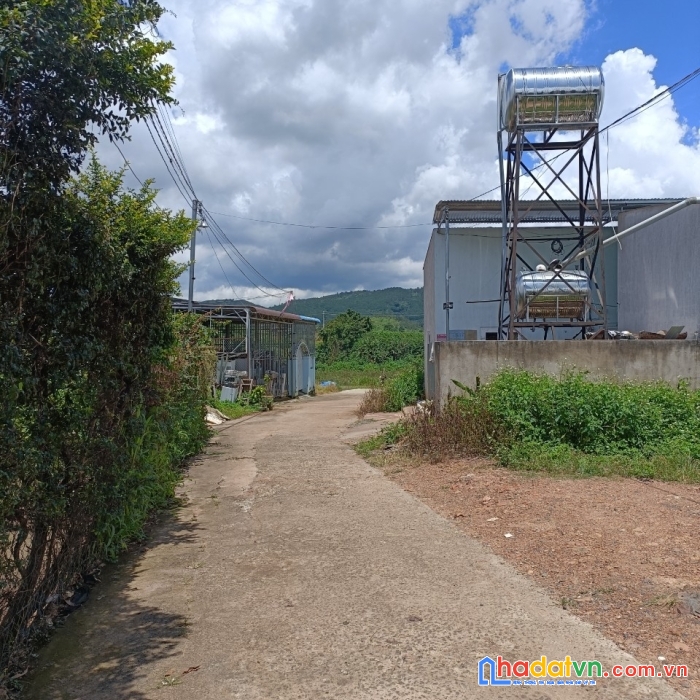 Sở hữu ngay lô đất đẹp tại hẻm nguyễn du, thị trấn liên nghĩa, huyện đức trọng, lâm đồng