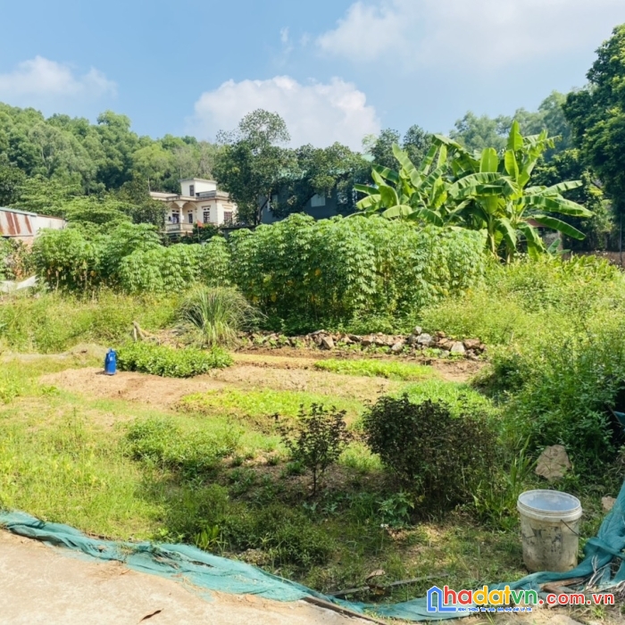 Bán cắt lỗ lô đất hơn 1000m thích hợp phân lô, làm xưởng