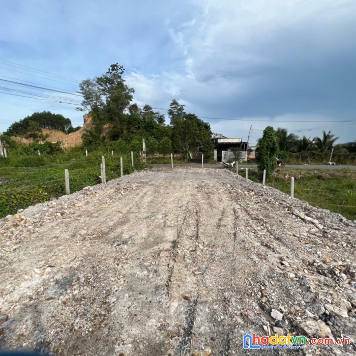 Diên lâm mặt tiền tỉnh lộ 8