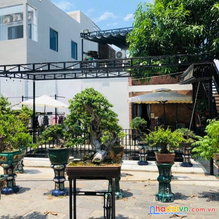 Hót hót!!! siêu phẩm bt sân vườn tôn đản 650 m2, giá nhỉnh 16 tr/m2