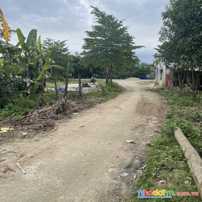 Hạ giá bán nhanh lô đất gần trường mầm non khánh hiệp khánh vĩnh lh 0985451850 xuân xuyên