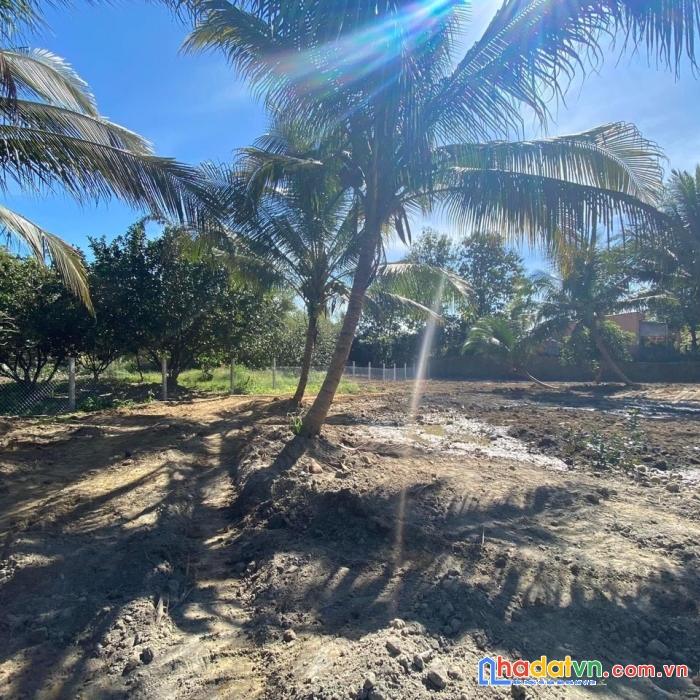 Cần bán đất xã ngọc định, huyện định quán, tỉnh đồng nai