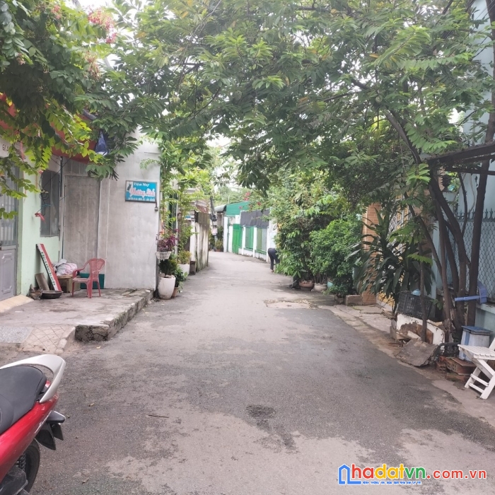 Chính chủ cần bán 2 lô đất liền kề nhau