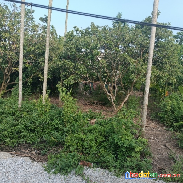 Tuyến 2 đại thắng hòa nghĩa dương kinh hp giá 12,5 tr m