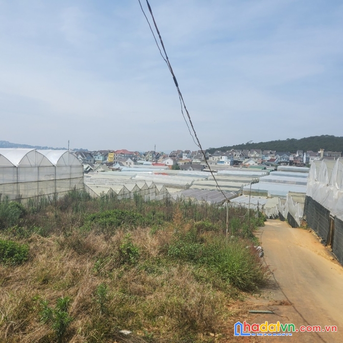 Bán gấp đất nền biệt thự thích hợp đầu tư tại thái phiên, đà lạt 206m2 giá chỉ có 4.7 tỷ