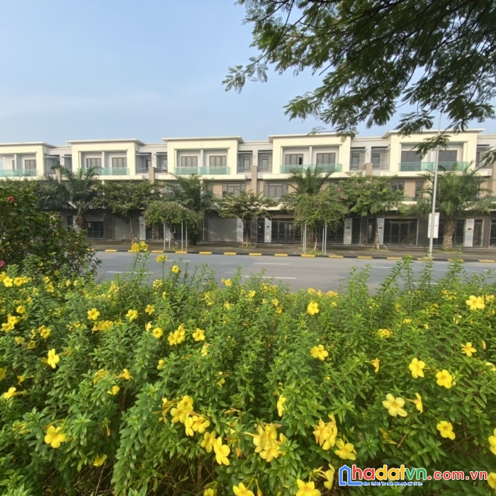 Bán nhà 3 tầng trục chính khu đô thị centa city, hướng đông mát mẻ, kinh doanh sầm uất