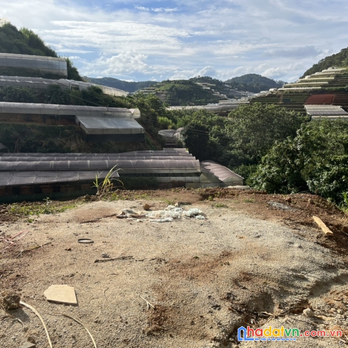 Cần tiền bán gấp 530m2 đất sổ riêng view thoáng tại xuân thọ, đà lạt giá chỉ 2.3 tỷ