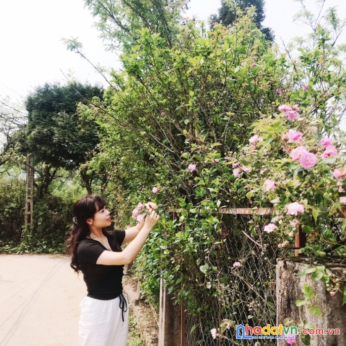  đất nền trung tâm sapa giá rẻ phù hợp làm khách sạn