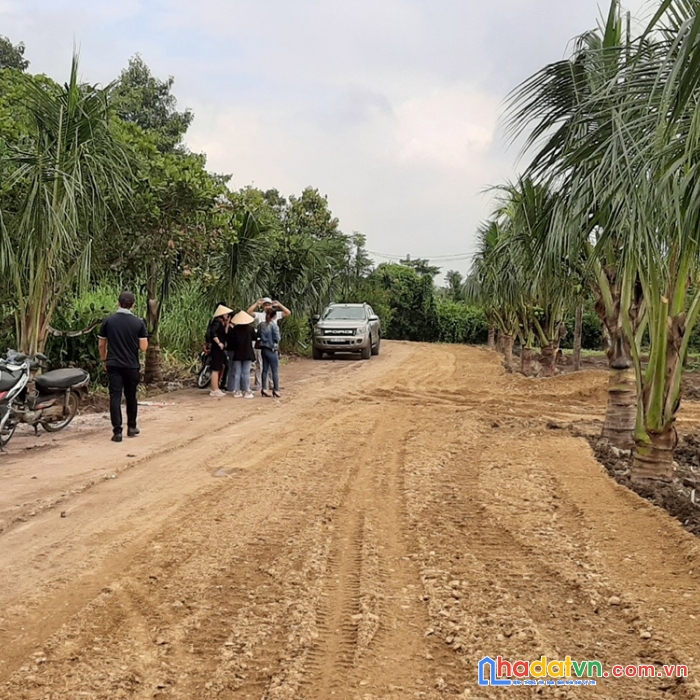 Đất vườn sinh thái liền kề sân bay long thành, sổ đỏ sẵn, giá rẻ đầu tư