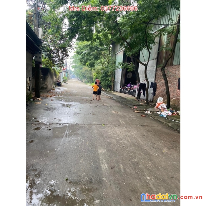 Cần thanh khoản gấp 2 lô đất hà lâm 2, giá chỉ hơn 20 triệu. lh: 0377236666