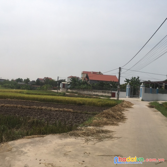 Bán đất hiệp hòa, bắc giang, chính chủ em cần tiền cắt lỗ tại khu vực đẹp hiếm có