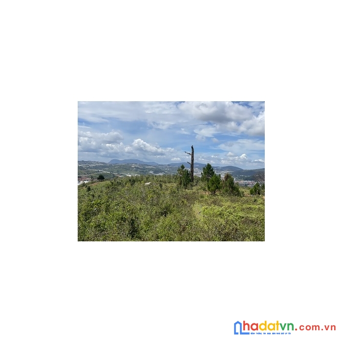 Bán đất thị trấn lạc dương, tỉnh lâm đồng