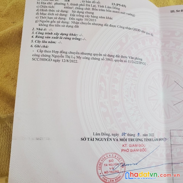 Sở hữu ngay lô đất đẹp tại nguyễn đình quân, phường 5, tp đà lạt, lâm đồng