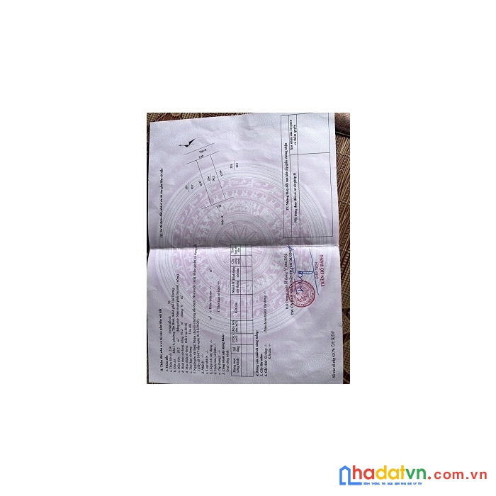 Chính chủ cần bán 2 lô đất tại vị trí đẹp xã quang trung tứ kỳ và khu 10 phường tân bình-hải dương