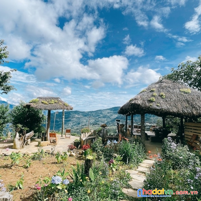 Hot:đất sapa giá lợn chết