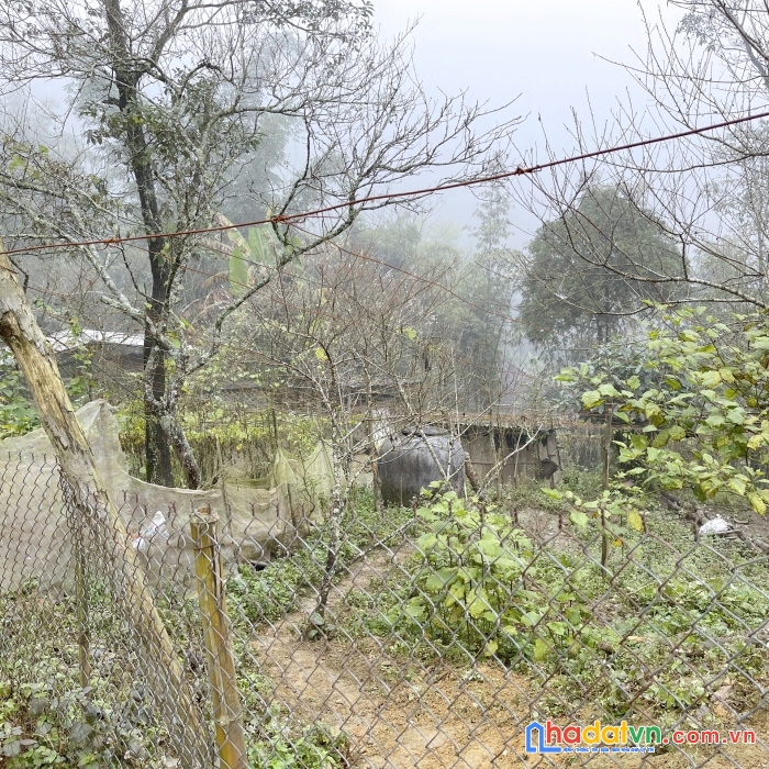 Đất nền gần trung tâm sapa giá rẻ sẵn thổ cư , lợi nhuận tốt thanh khoản nhanh