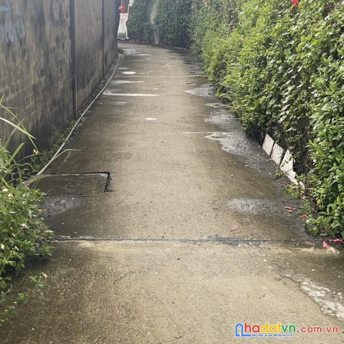 Cần bán 1 hecta đất tại nguyễn thị bảy, p.6, tân an, long an chỉ 130 tỷ