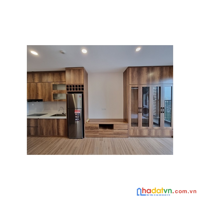 Cho thuê căn hộ studio-ecopark-sky oasis