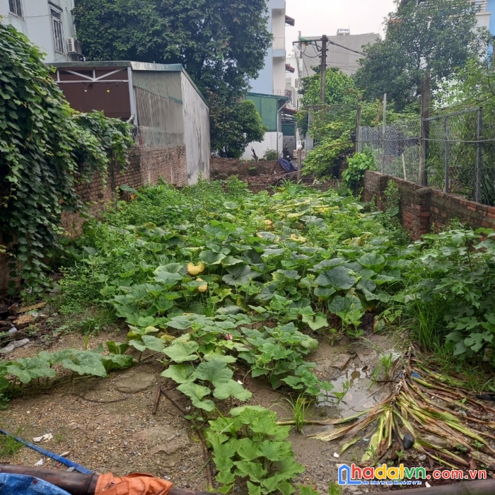 Bán đất phúc lợi, long biên, 52m, mt 4,1m, lô góc, đường ô tô tránh, đỗ, vào nhà, 4,1 tỷ