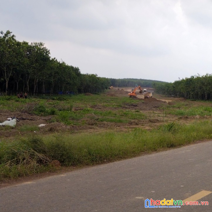 Cần bán lô đất vị trí đắc địa giá rẻ hấp dẫn tại bình phước