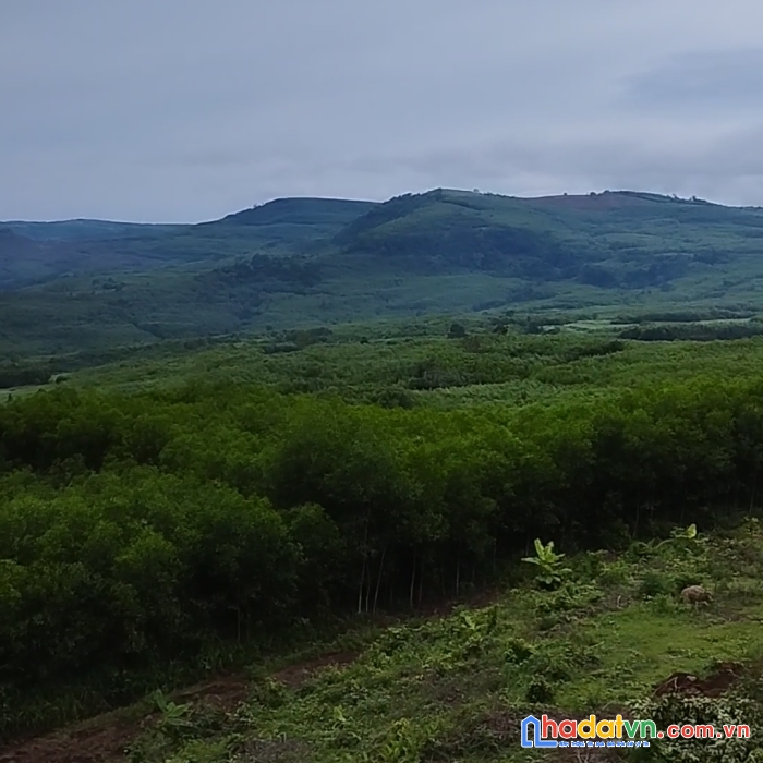 Đất cao nguyên vân hoà giá rẻ mặt tiền