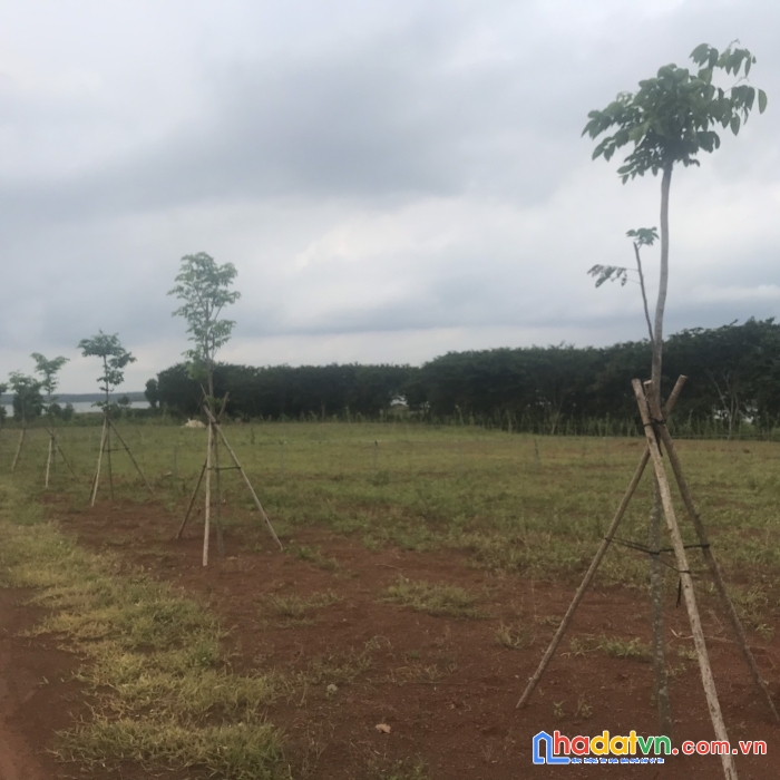Chính chủ cần bán đất tại xã sơn bình -huyện châu đức-tỉnh bà rịa-vũng tàu.