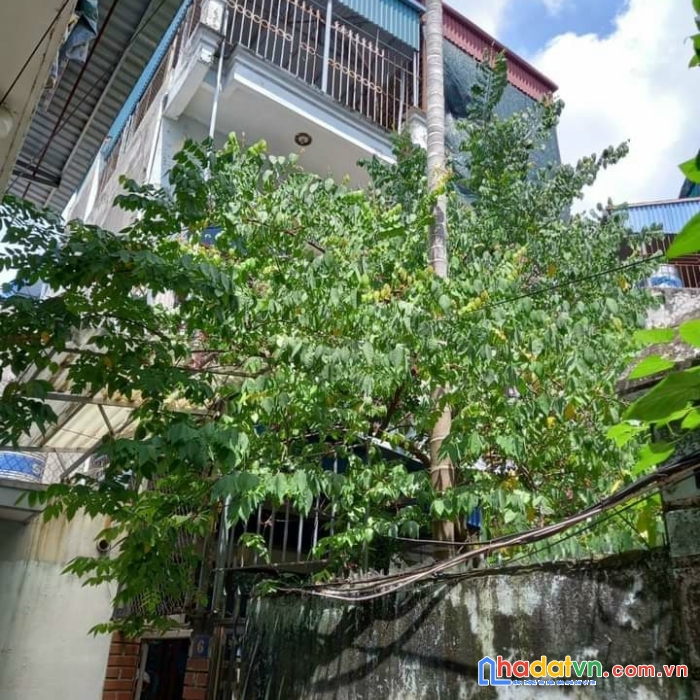 Bán căn nhà vị trí đắc địa giá rẻ hấp dẫn tại thành phố nam định