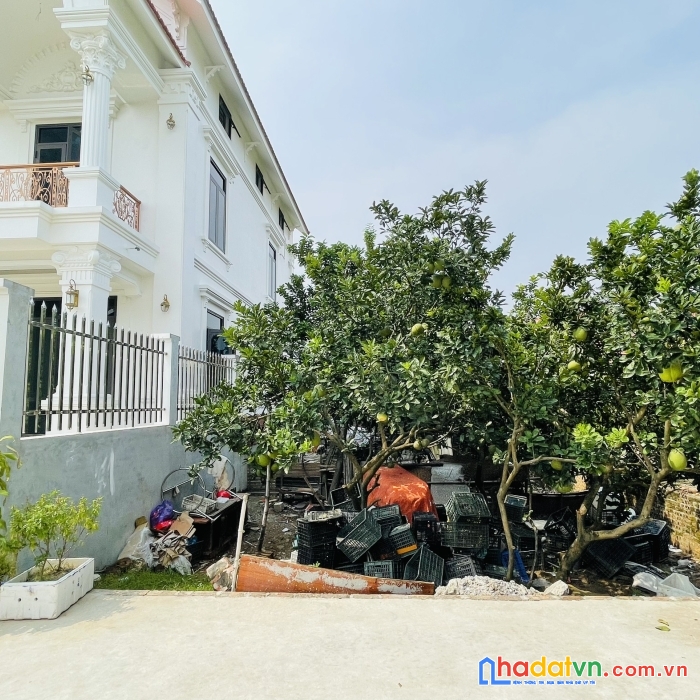 Hàng đẹp chia lô được 135m tại yên hà-hải bối đường 6m rộng rãi