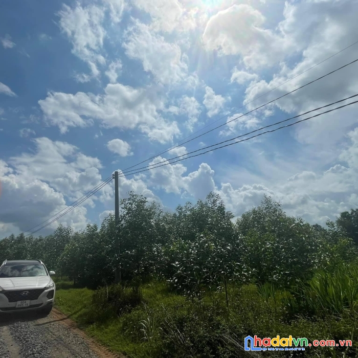 Bán 2.1 mẫu đất lô góc, 2 mặt tiền đường dự án lên đường nhựa, xã xuân bắc, xuân lộc, đồng nai