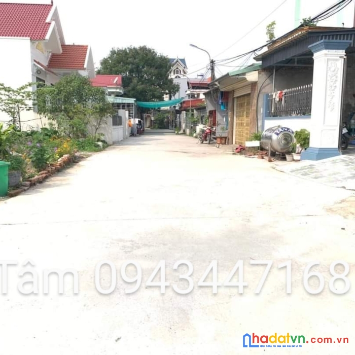 Ngõ 51 bùi phổ tân thành  dương kinh  hp 1,68 tỷ