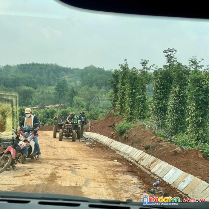 Siêu hiếm 2,7ha mặt tiền vip 380m 3,2 tỷ đường bê tông ở đăk mil, đăk nông!
