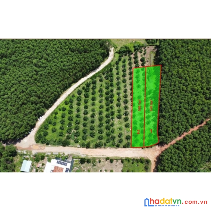Bán lô đất vườn bưởi khánh bình khánh vĩnh khánh hòa
