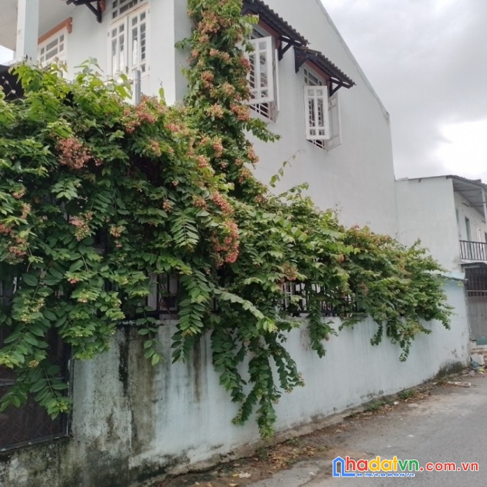Bán nhà hiệp phú, 295m2, 2 tầng, vừa ở vừa kinh doanh, nhỉnh 47 tr.m2