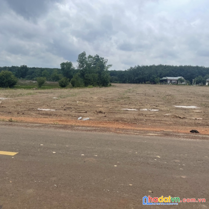 Đất nền sổ hồng sẵn mặt tiền đường nhựa 12m giá 450tr / nền.