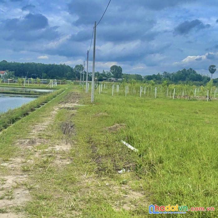 Chủ ngộp cần ra gấp lô đất vườn trung lập hạ, củ chi