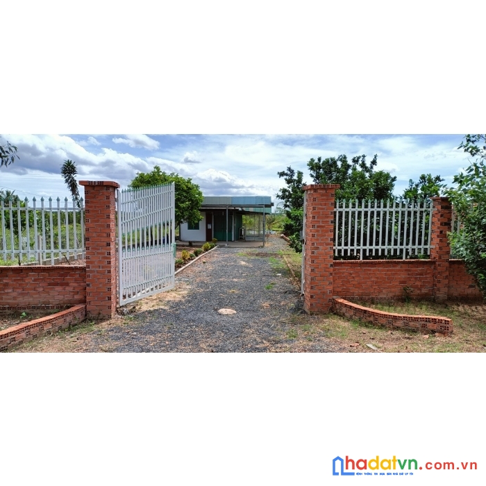 Căn nhà vườn 2 sổ, giá 2ty4/736m2