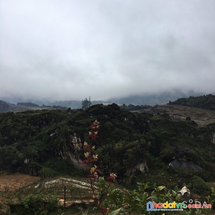 Mảnh view có núi đá hùng vĩ tại can ngài- tả phìn- sapa
