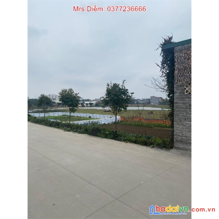 Mrs diễm cần bán gấp 71.5m đất giá 3.2 tỷ tại xóm thượng, uy nỗ, đông anh.