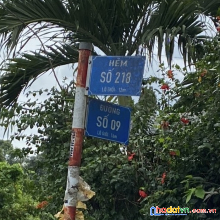 Bán 102m2 kdc hiện hữu tại tân thông hội,củ chi