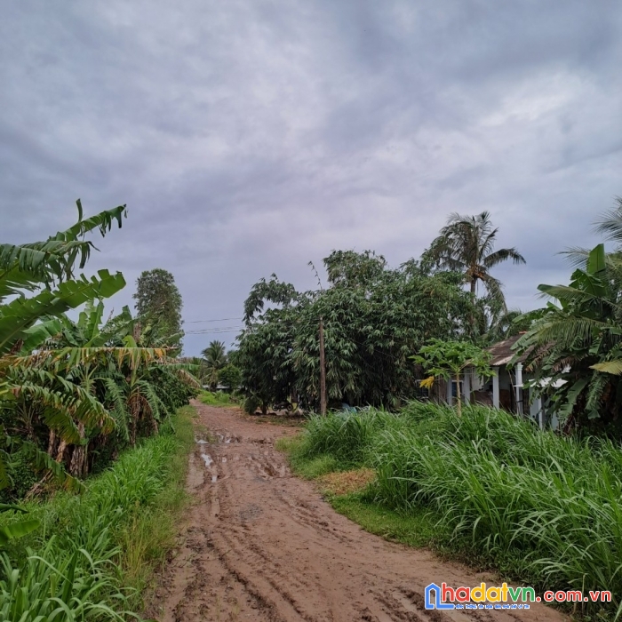 Nhanh tay sở hữu ngay lô đất đẹp tại càng long - tỉnh trà vinh