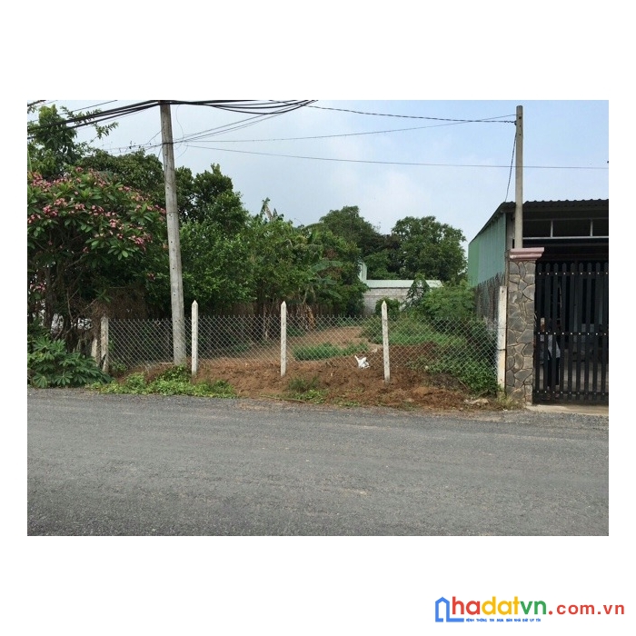 Ngộp cần ra gấp lô đất tpđồng xoài 250m đường nhựa - thành phố 