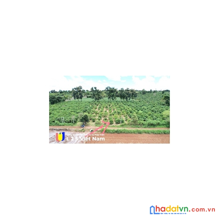 Cơ hội tốt sở hữu ngay một siêu phẩm có 1 không 2- viêu ruộng miên man