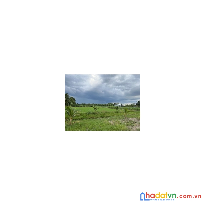 Chính chủ bán (hoặc cho thuê) lô đất mặt tiền lớn 42m, cách ngã ba thạnh nhựt - quốc lộ 50 1km, gò