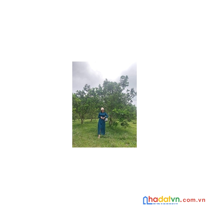 Nhanh tay sở hữu ngay lô đất trang trại tại thanh sơn phú thọ