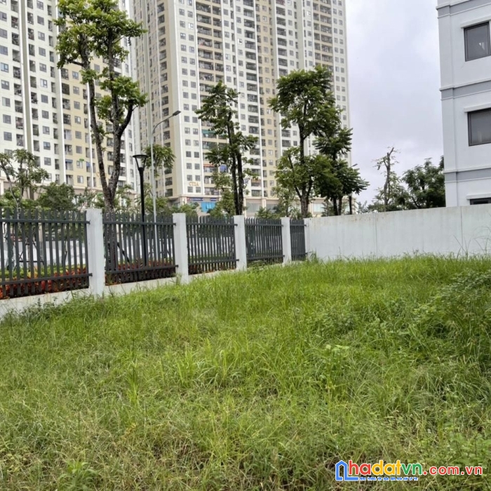 Bán biệt thự sân vườn khu đô thị việt hưng view vườn hoa- 244m2